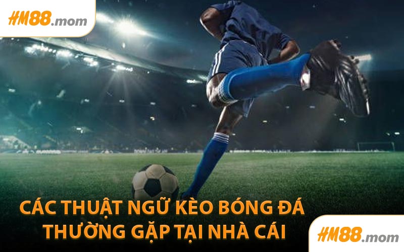 Các thuật ngữ kèo bóng đá thường gặp tại nhà cái