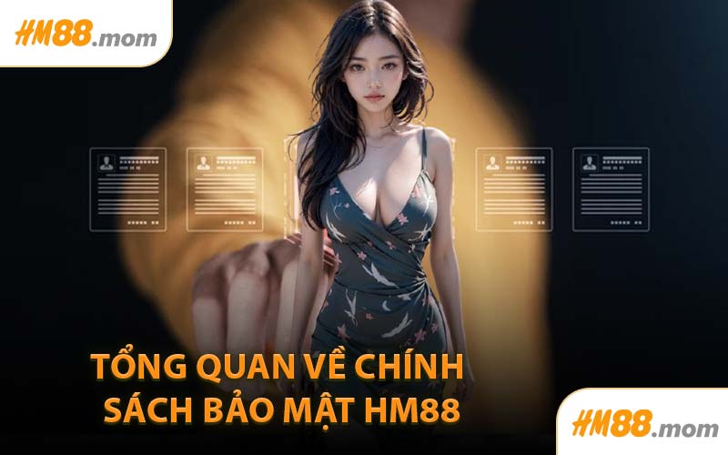 Tổng Quan Về Chính Sách Bảo Mật HM88