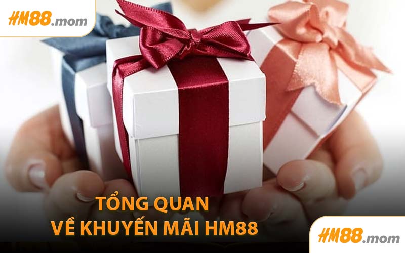 Tổng Quan Về Khuyến Mãi HM88