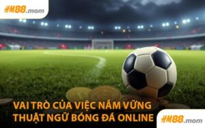 Vai trò của việc nắm vững thuật ngữ bóng đá online