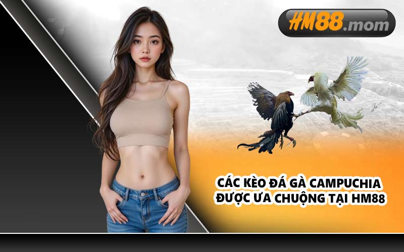 Các kèo đá gà Campuchia được ưa chuộng tại HM88