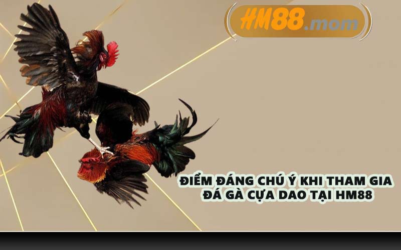 Điểm đáng chú ý khi tham gia đá gà cựa dao tại HM88