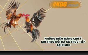 Những điểm đáng chú ý khi theo dõi đá gà trực tiếp tại HM88