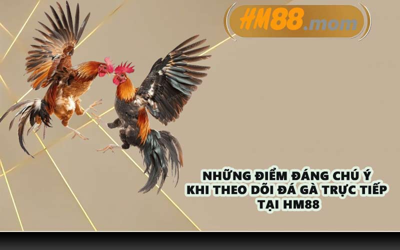 Những điểm đáng chú ý khi theo dõi đá gà trực tiếp tại HM88